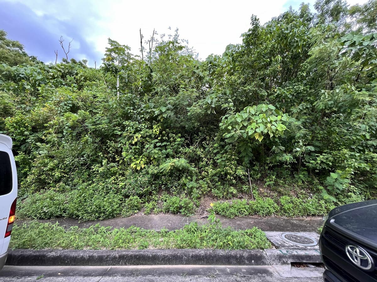 MARIA LUISA NORTH HERITAGE MANDAUE RESIDENTIAL LOT - photo 5