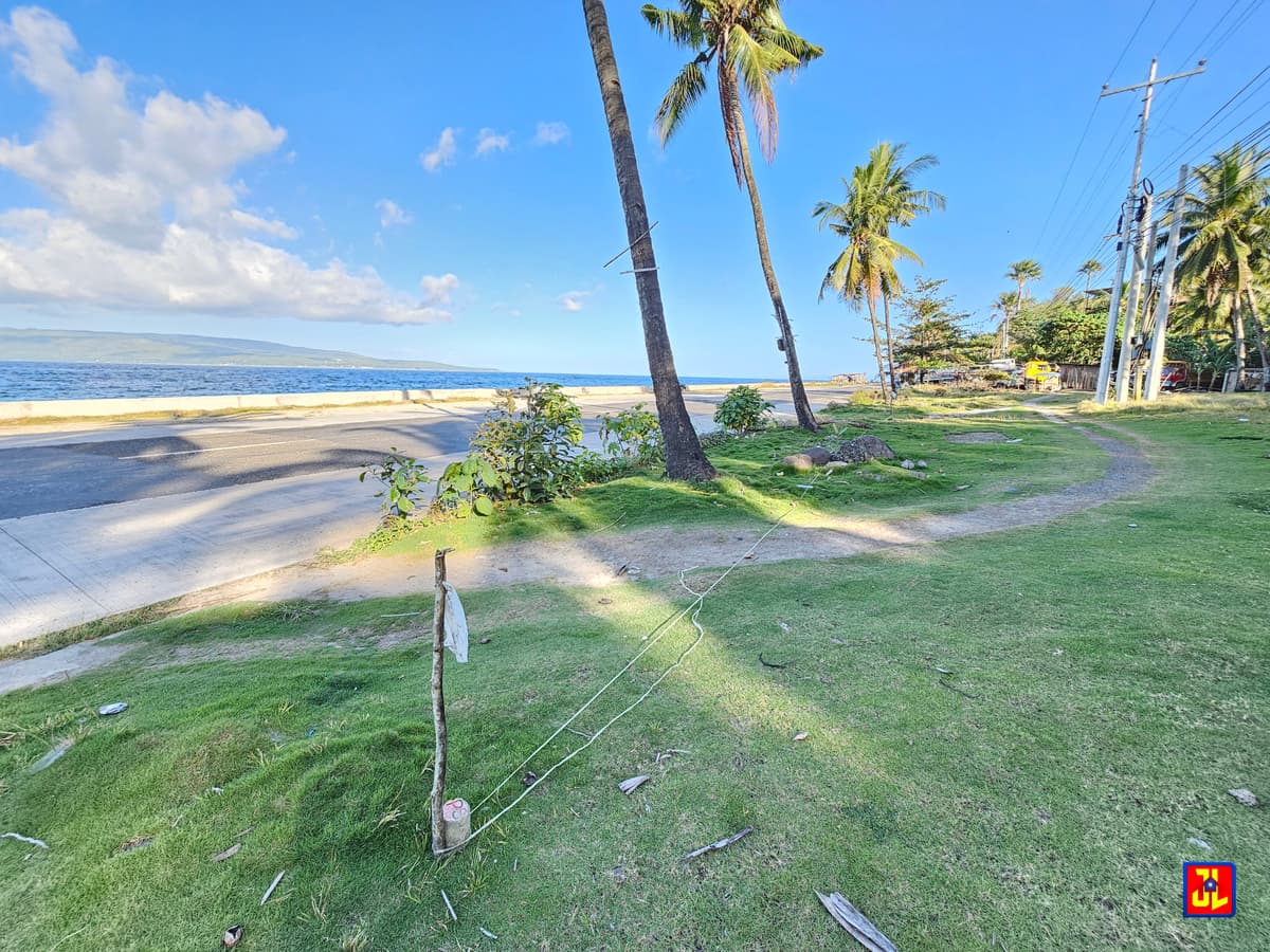 Rush Sale! From P7,000 to P6,250 per sqm! Prime Lot in Lalaan, San Jose, Negros Oriental [available] - photo 3