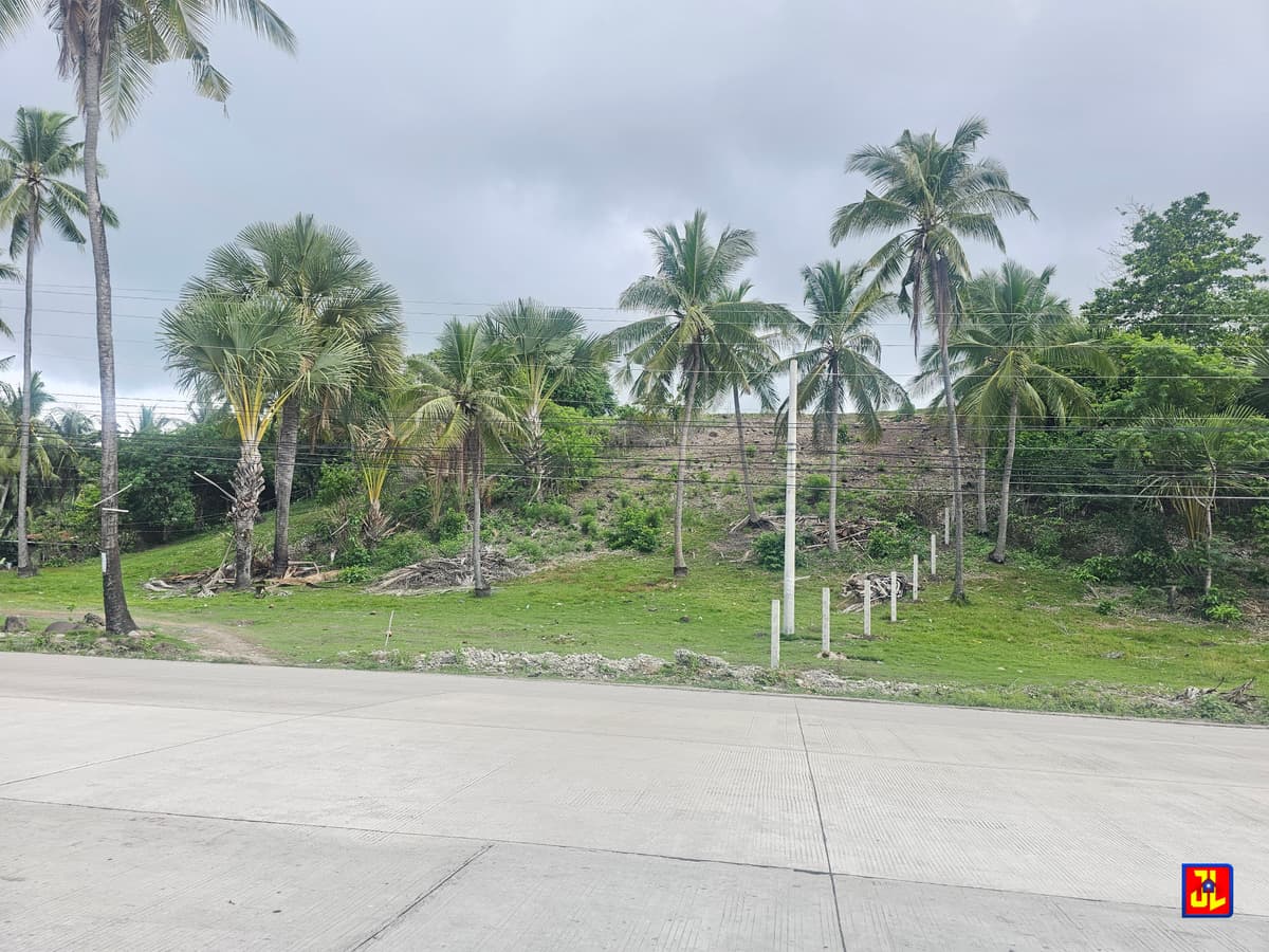 Rush Sale! From P7,000 to P6,250 per sqm! Prime Lot in Lalaan, San Jose, Negros Oriental [available] - photo 1