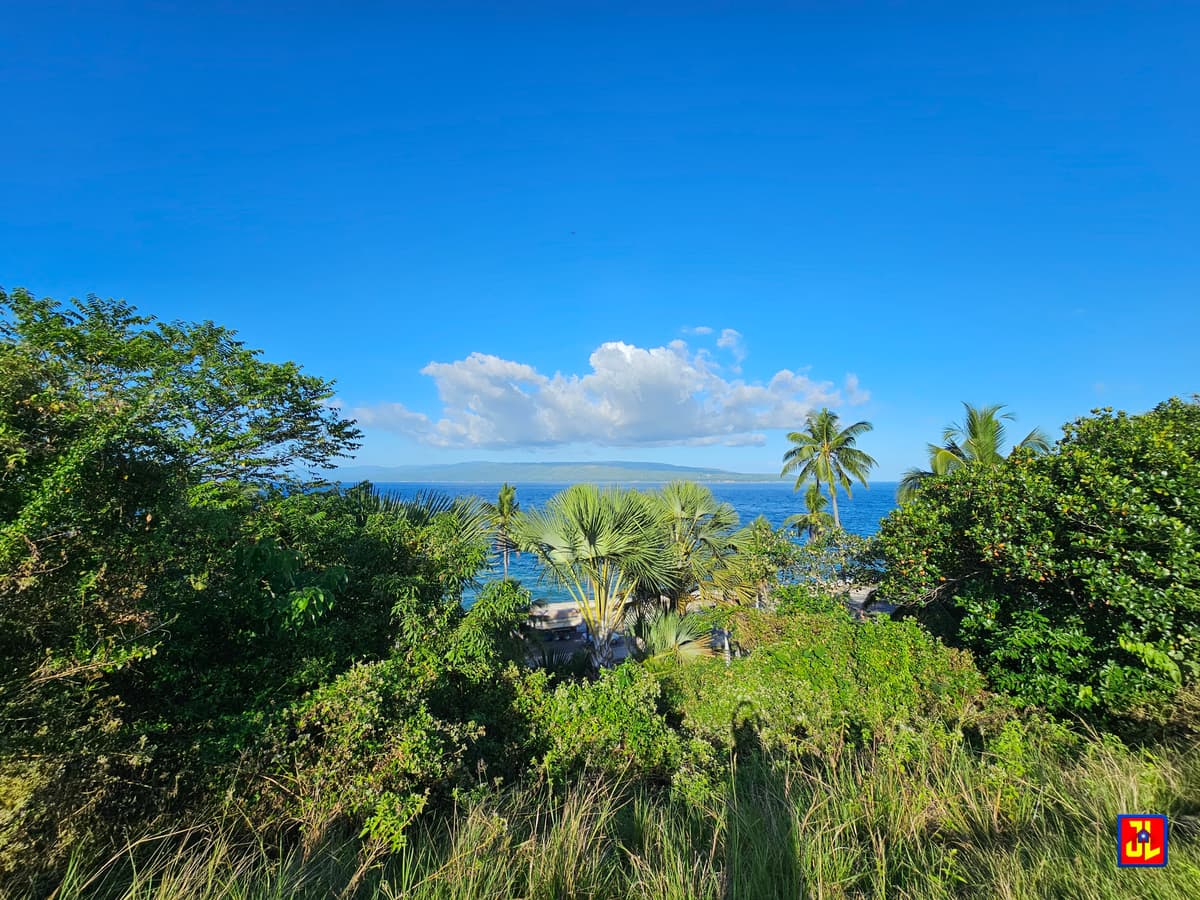 Rush Sale! From P7,000 to P6,250 per sqm! Prime Lot in Lalaan, San Jose, Negros Oriental [available] - photo 4