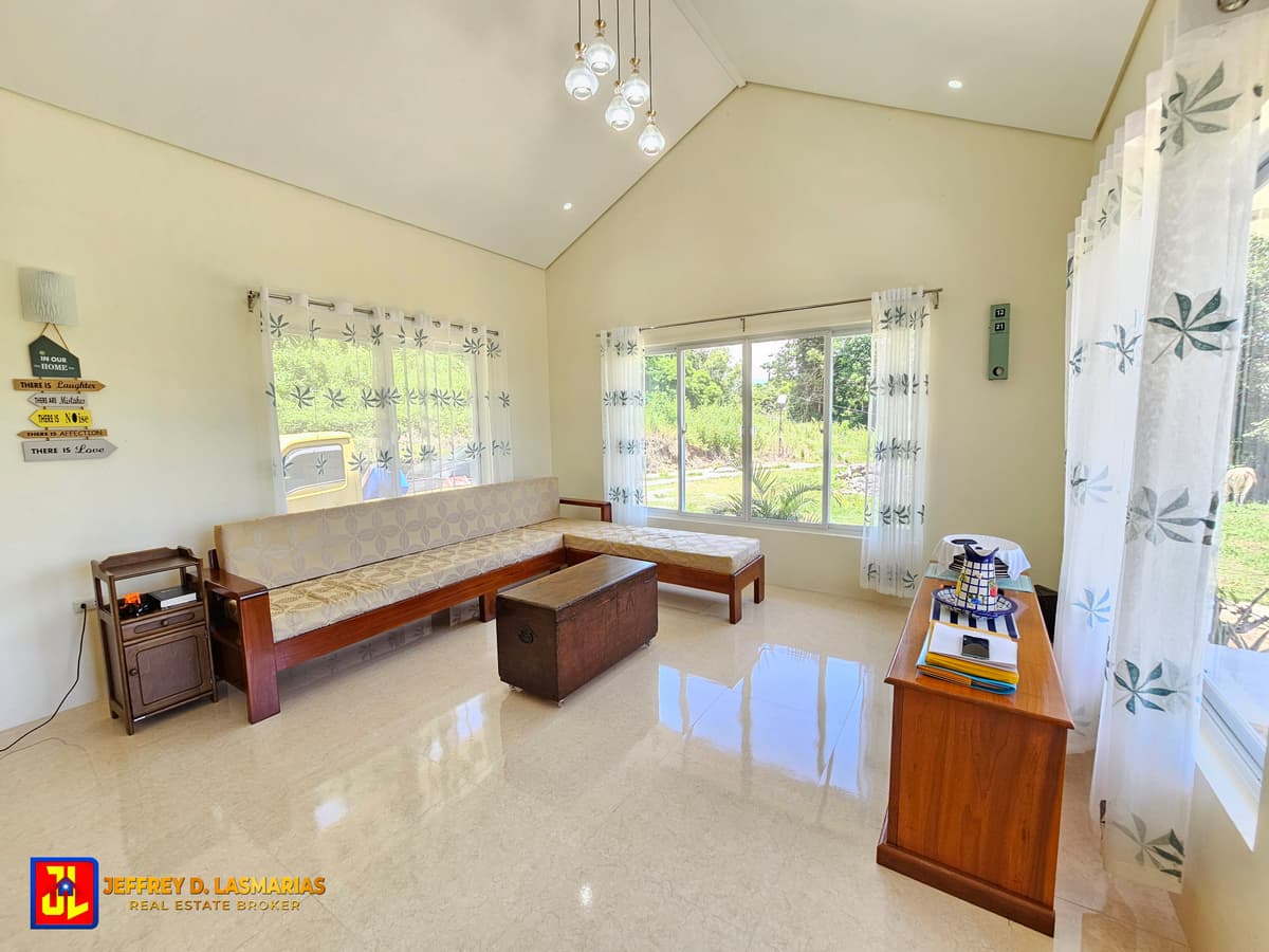 P5M discount! From P25M to P20M! Rush Sale Amazing House in Lotuban, Zamboanguita, Negros Oriental [available] - photo 2