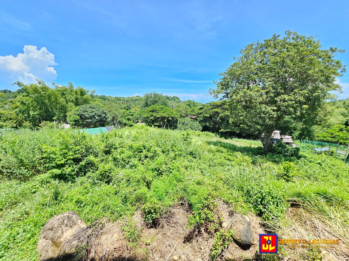 P5M discount! From P25M to P20M! Rush Sale Amazing House in Lotuban, Zamboanguita, Negros Oriental [available] - photo 5