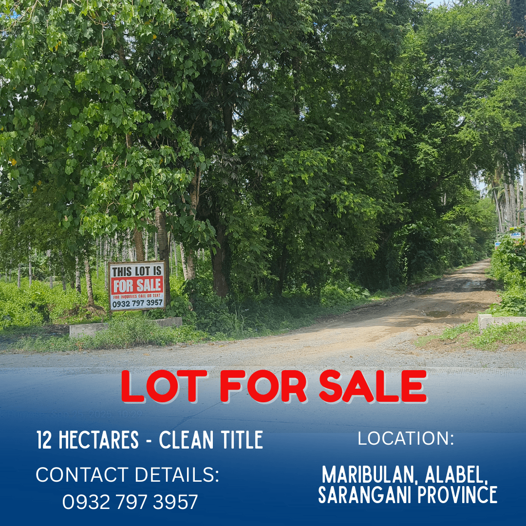ALABEL LOT FOR SALE (very accessible to road) - Maribulan, Alabel, Sarangani Province - photo 2