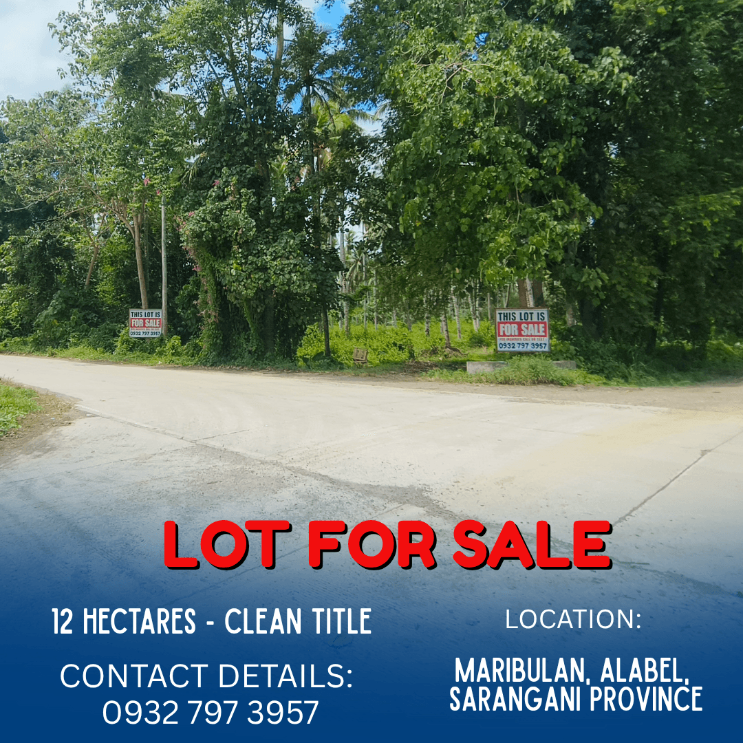 ALABEL LOT FOR SALE (12 HECTARES) - photo 3