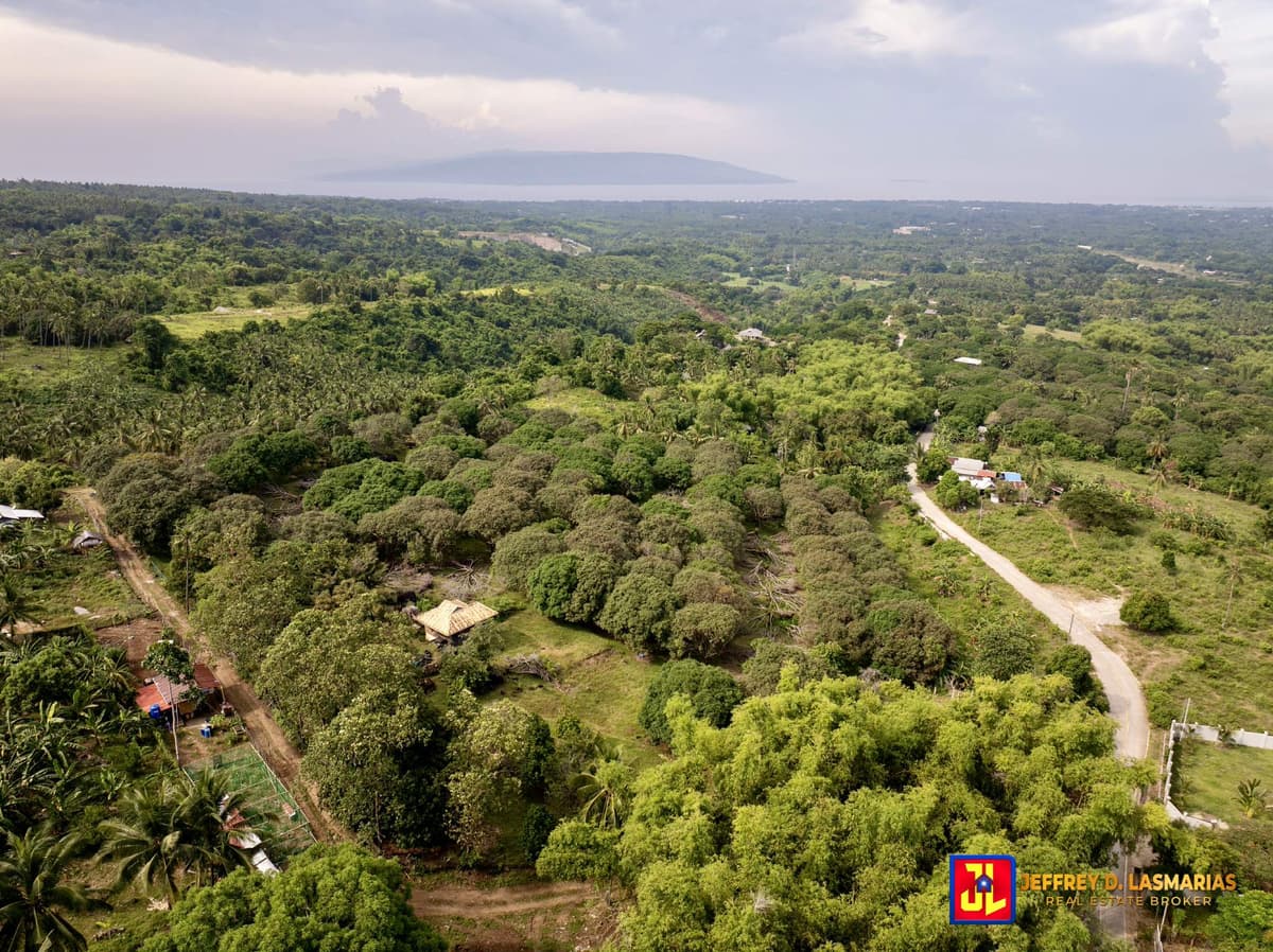 P7.5M discount! From P32.5M to P25M! 22,538sqm Mango Farm Rush Sale House in Balili, Valencia [available] - photo 2