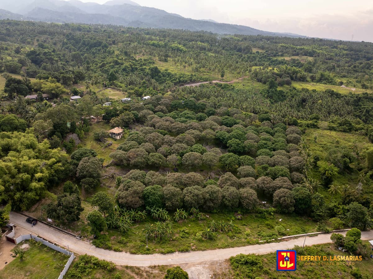 P7.5M discount! From P32.5M to P25M! 22,538sqm Mango Farm Rush Sale House in Balili, Valencia [available] - photo 1