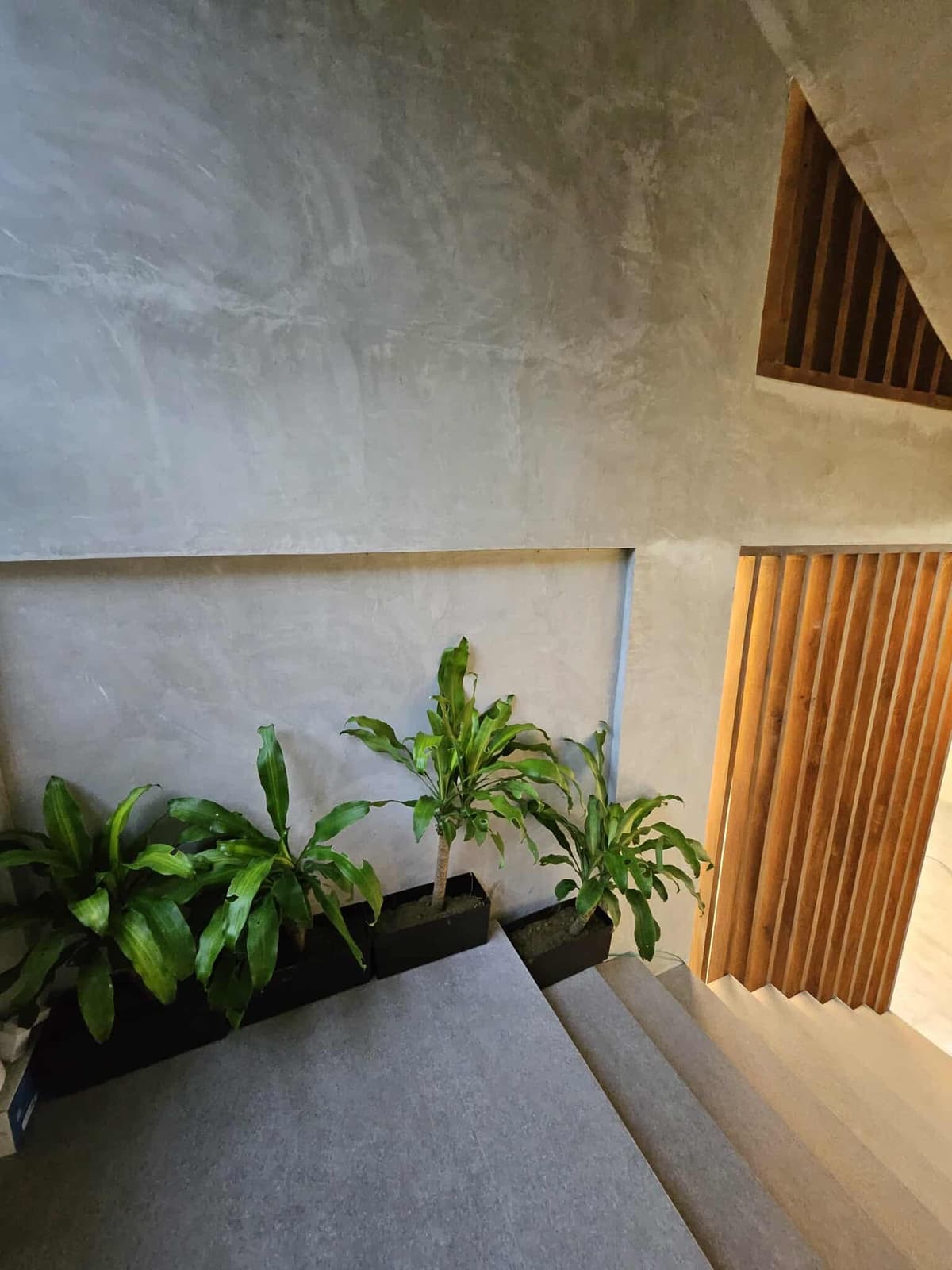 6 Storey House Maria Luisa - photo 2