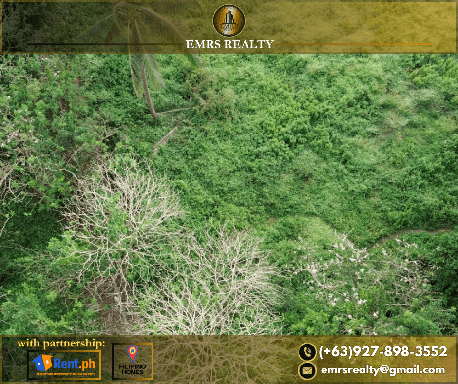 FOR SALE! 1 HECTARE FLAT FARM LOT IN AMADEO, CAVITE near Tagaytay - photo 2