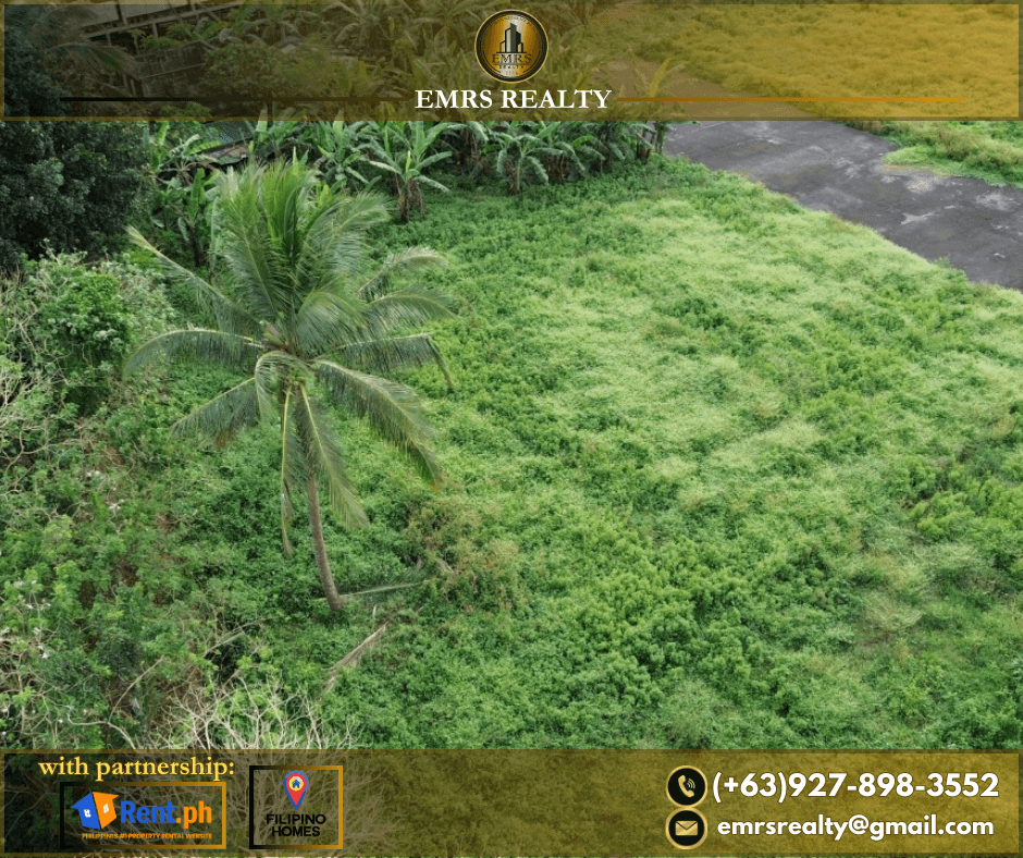 FOR SALE! 1 HECTARE FLAT FARM LOT IN AMADEO, CAVITE near Tagaytay - photo 4