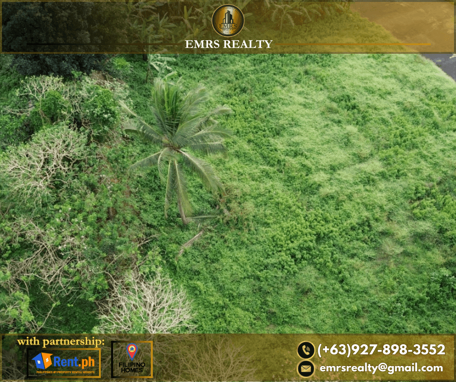 FOR SALE! 1 HECTARE FLAT FARM LOT IN AMADEO, CAVITE near Tagaytay - photo 1