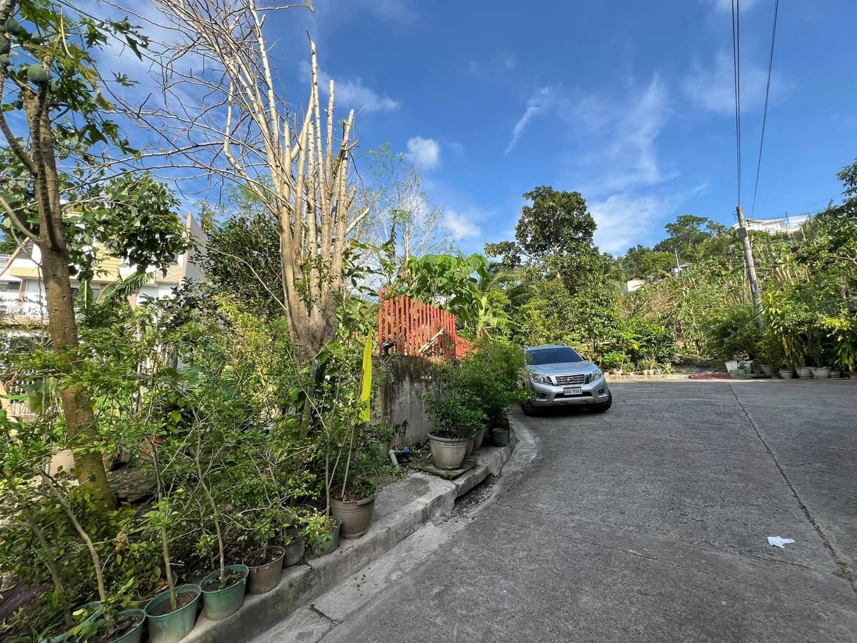 Flood Free Area For Sale at Cebu City - photo 1