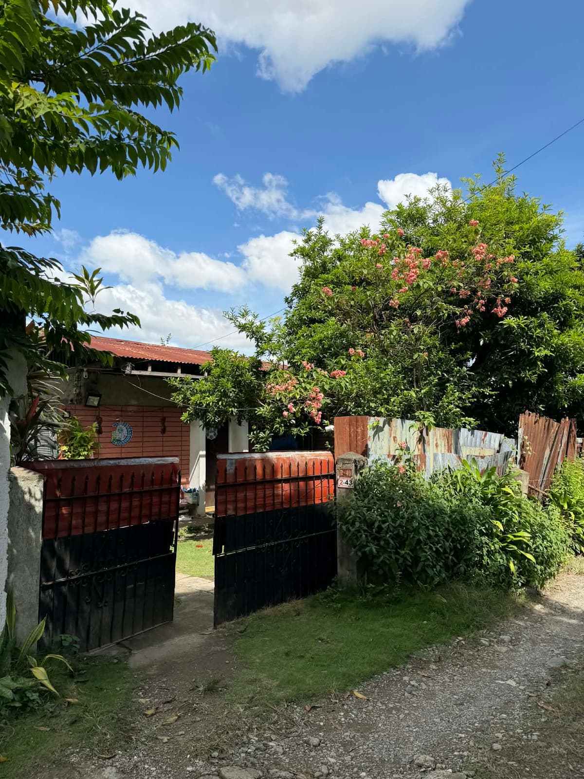 Residential Lot for Sale at Saint Jude Subdivision, Bulacao, Cebu City - photo 1