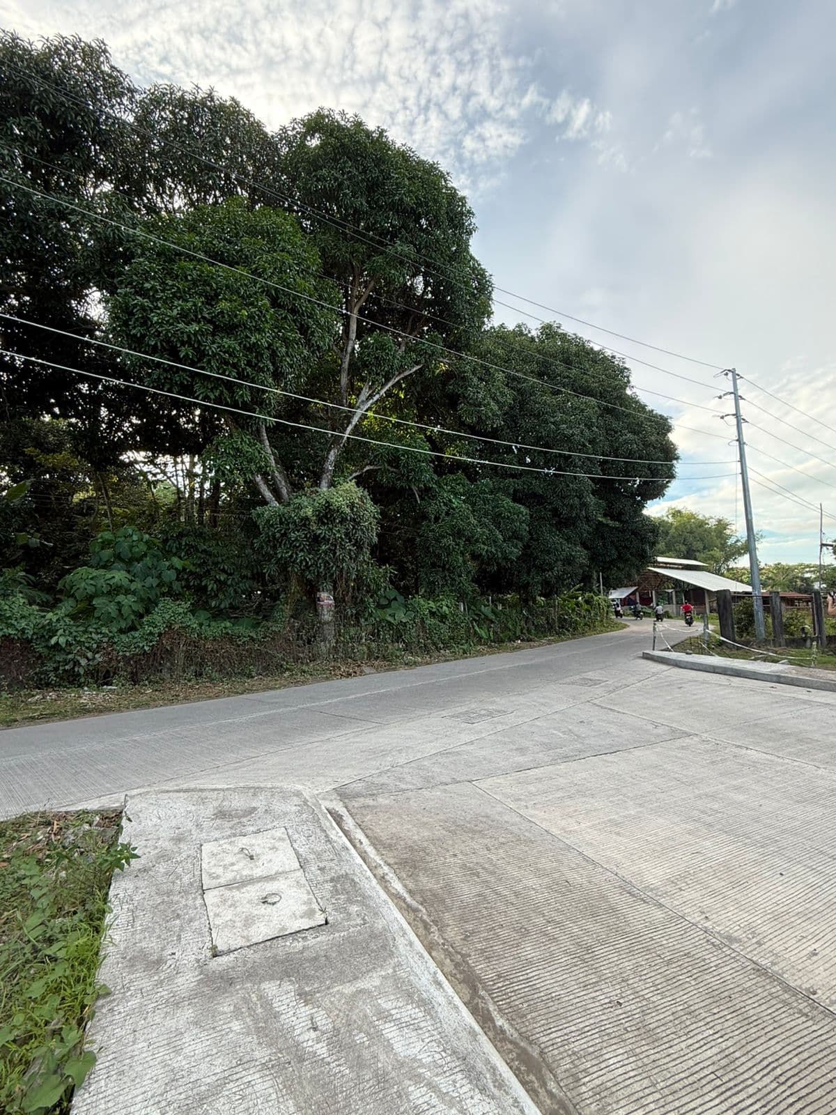 LOT FOR SALE – PRIME LOCATION IN TALAY, DUMAGUETE CITY - photo 2