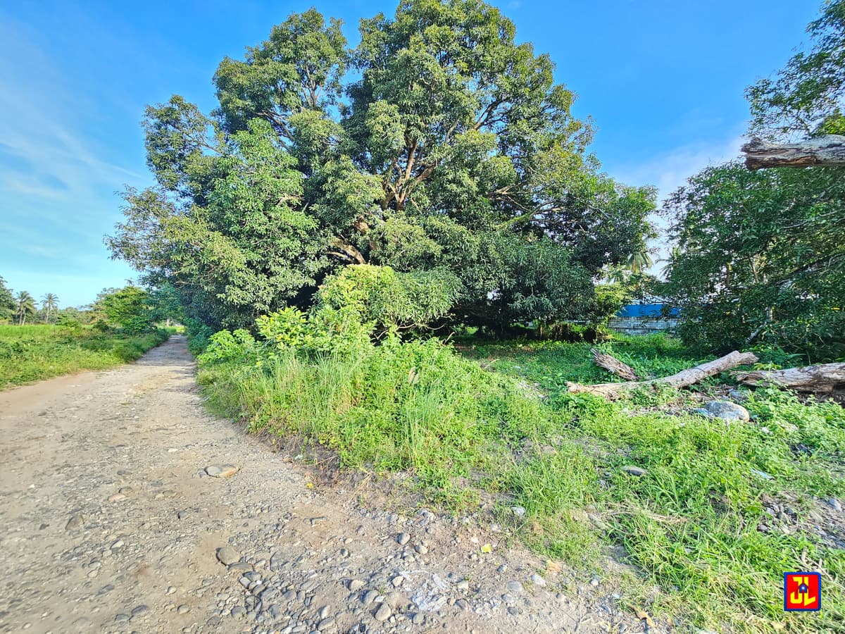 Rush Sale 2,788sqm Lot Along Diversion Road, Isugan, Bacong [available] - photo 4