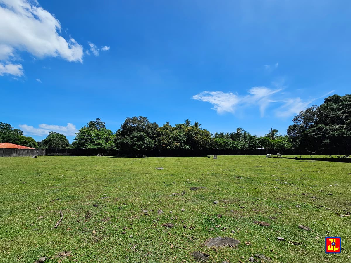 Rush Sale 13,431sqm Amazing Commercial Lot Along National Highway Talay, Dumaguete [available] - photo 3