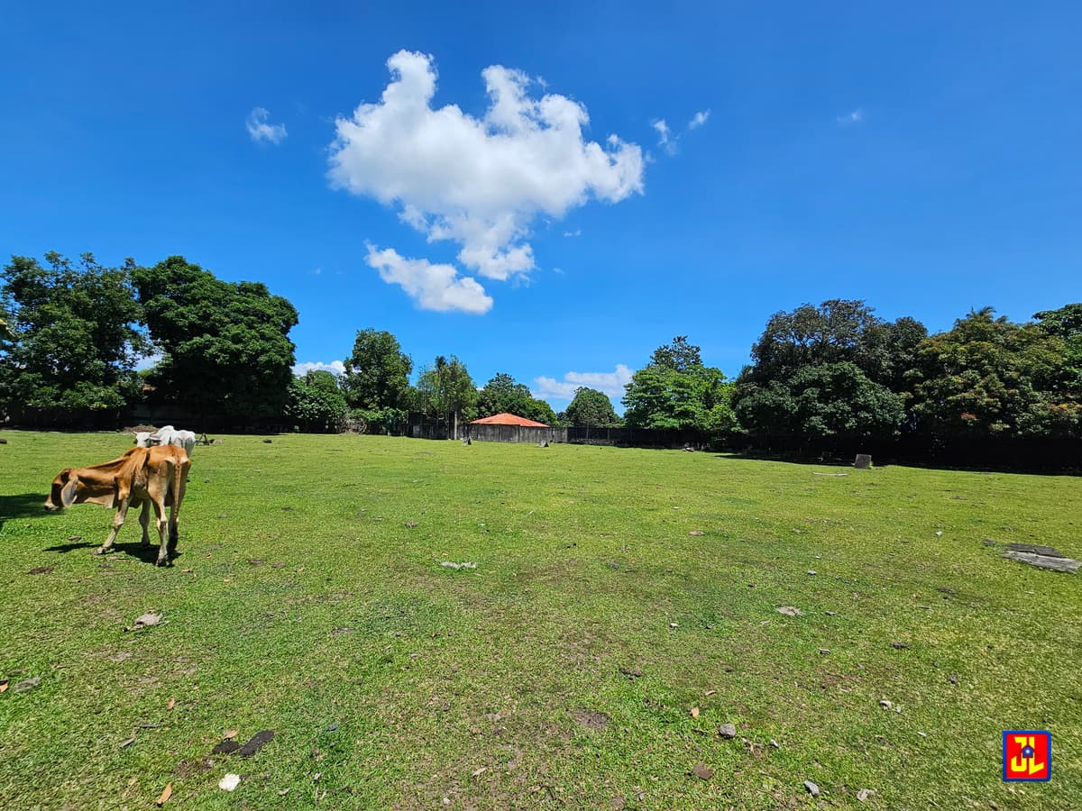 Rush Sale 13,431sqm Amazing Commercial Lot Along National Highway Talay, Dumaguete [available] - photo 2