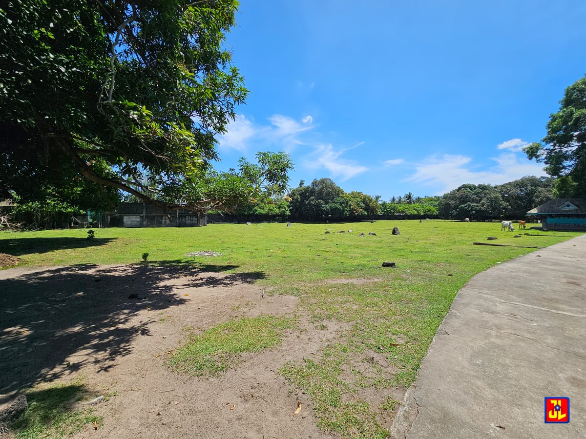 Rush Sale 13,431sqm Amazing Commercial Lot Along National Highway Talay, Dumaguete [available] - photo 1