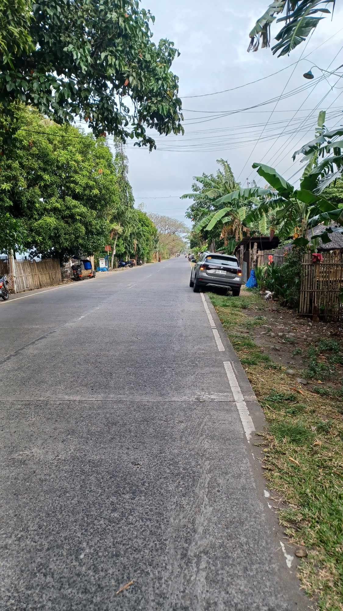 Pulupandan Lot for sale along the road - photo 3