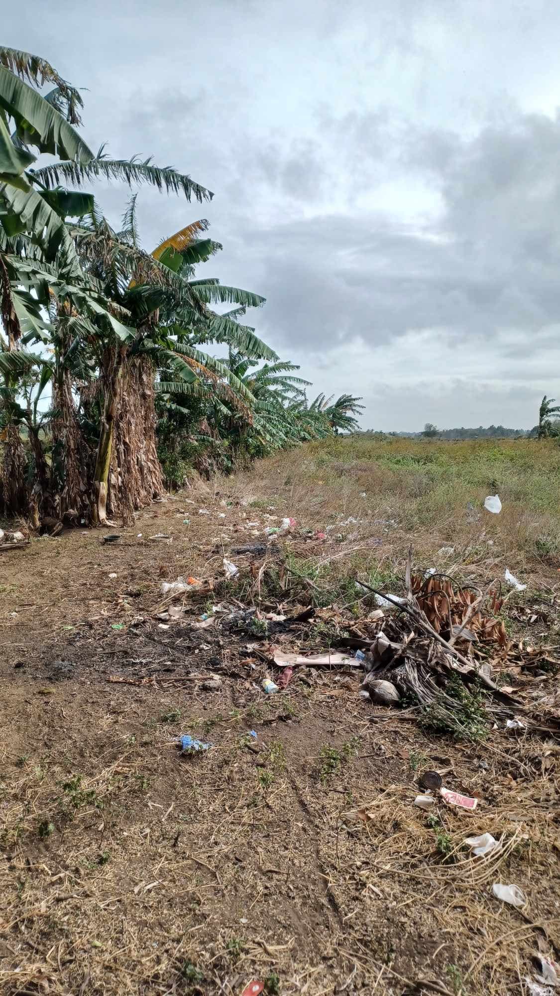 Pulupandan Lot for sale along the road - photo 2