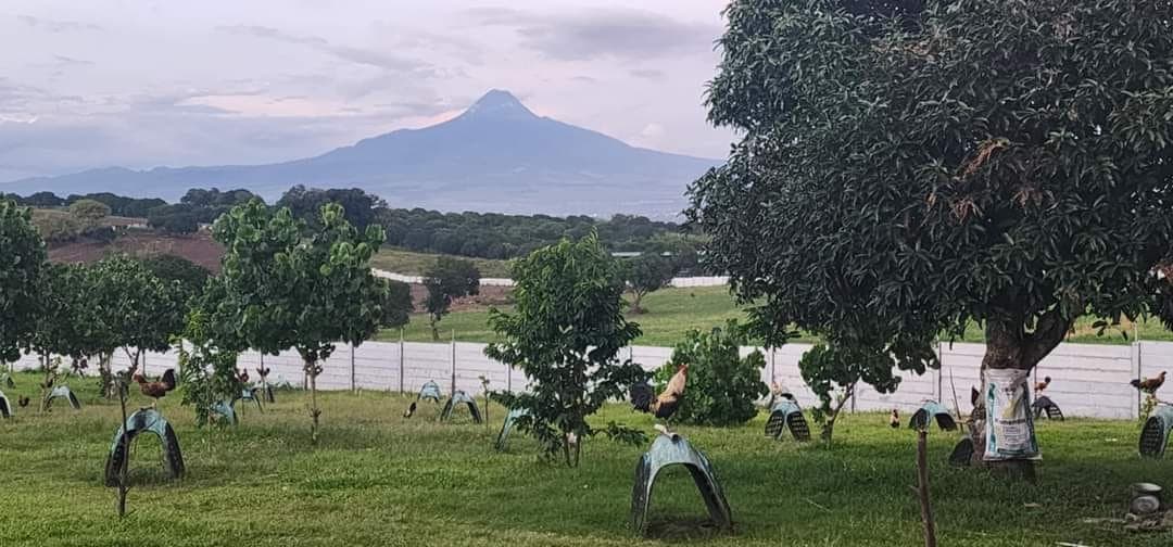  2.5-Hectares Farm, For Sale in Matin-ao Polomolok. - photo 1