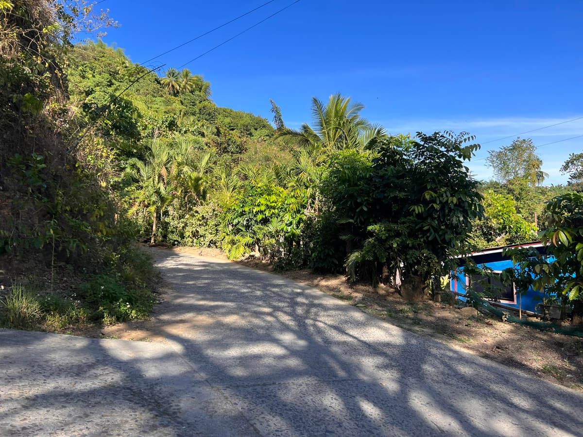 Lot for Sale in Lanipga Consolacion, Cebu - photo 4