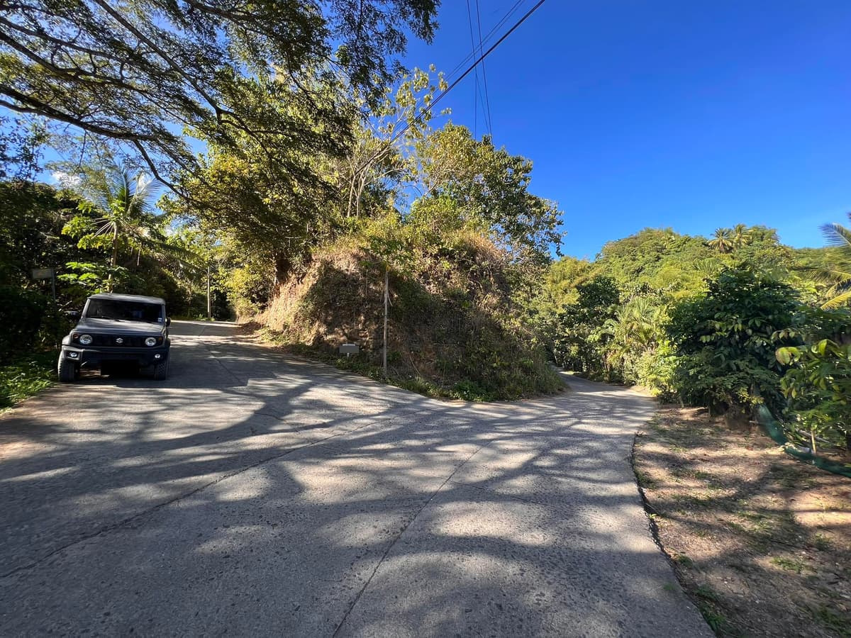 Lot for Sale in Lanipga Consolacion, Cebu - photo 1