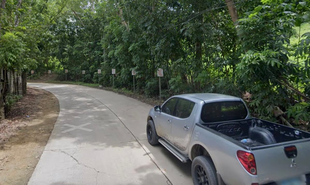 Lot for Sale in Cantumog Carmen, Cebu - photo 1