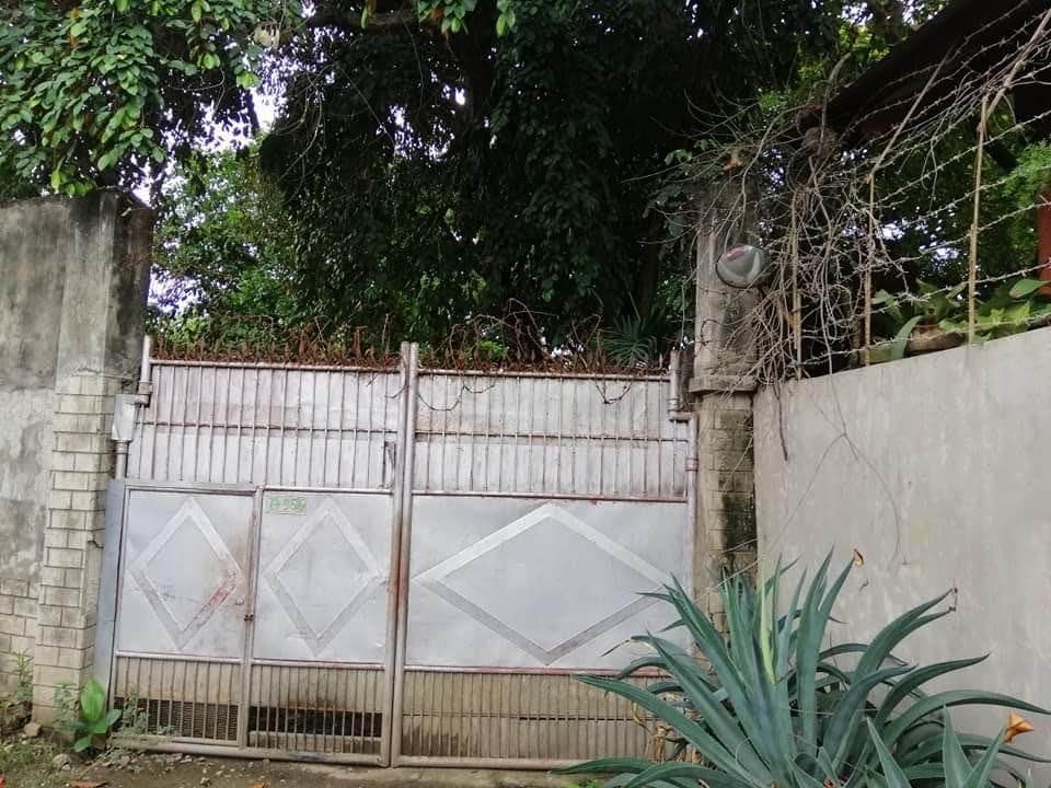 Residential Lot for Sale in Dumlog, Talisay City, Cebu - photo 2