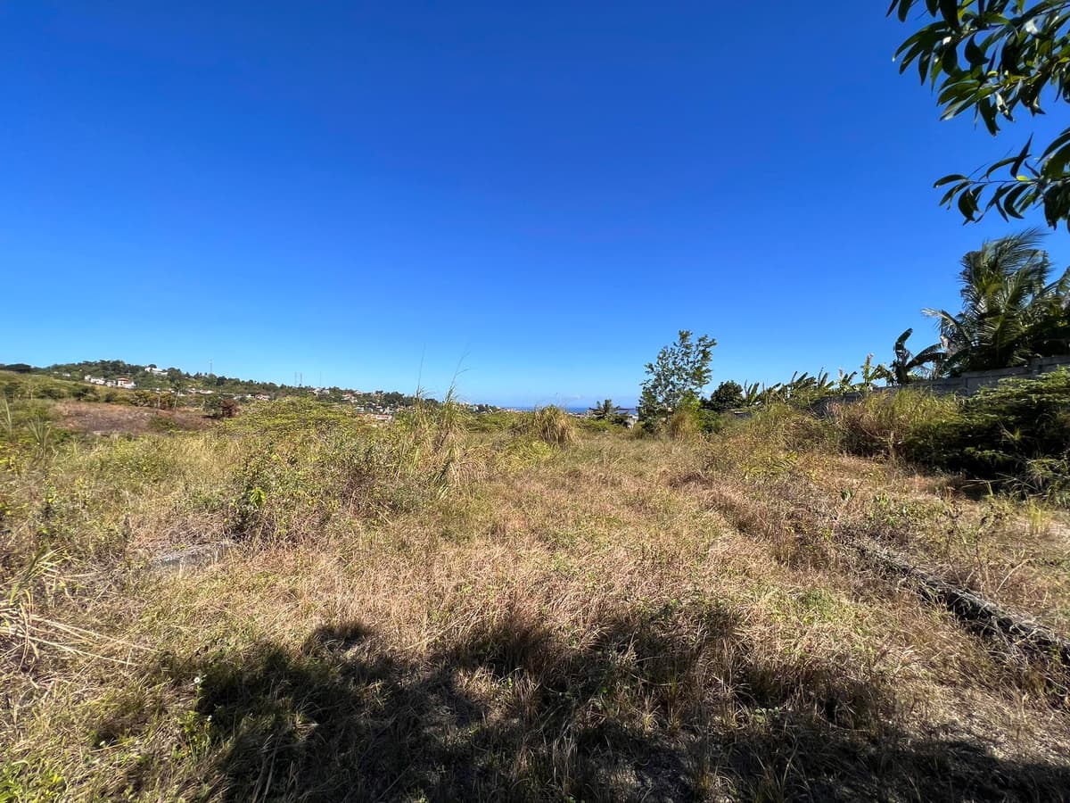 Overlooking Subdivision Lot for Sale in Linao, Talisay City, Cebu - photo 4