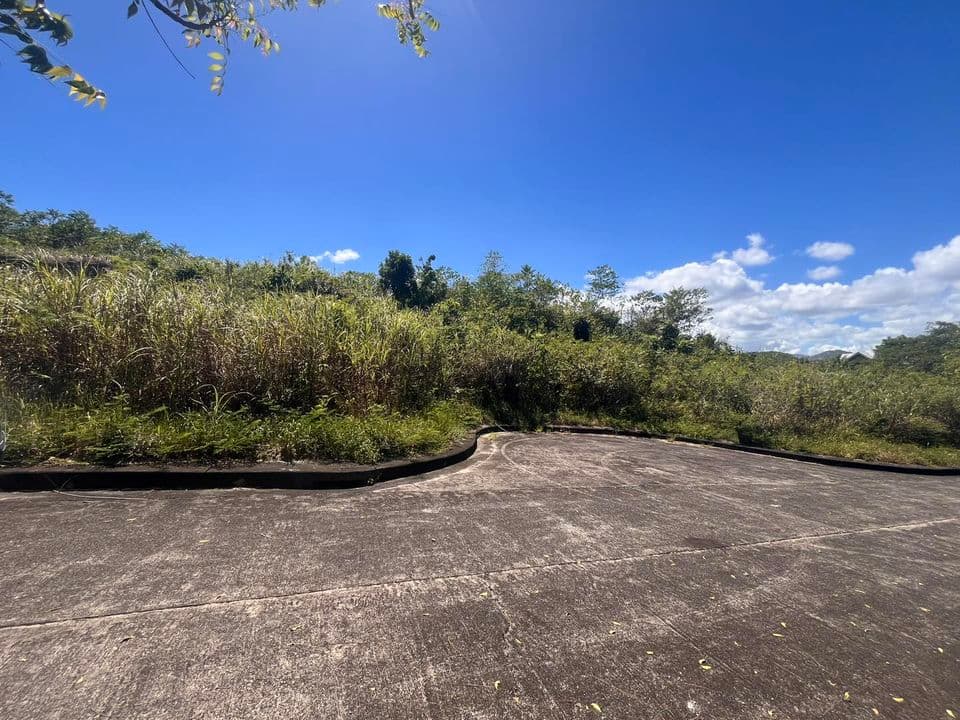 Lot for Sale in El Monteverde, Lamac, Consolacion Cebu - photo 1
