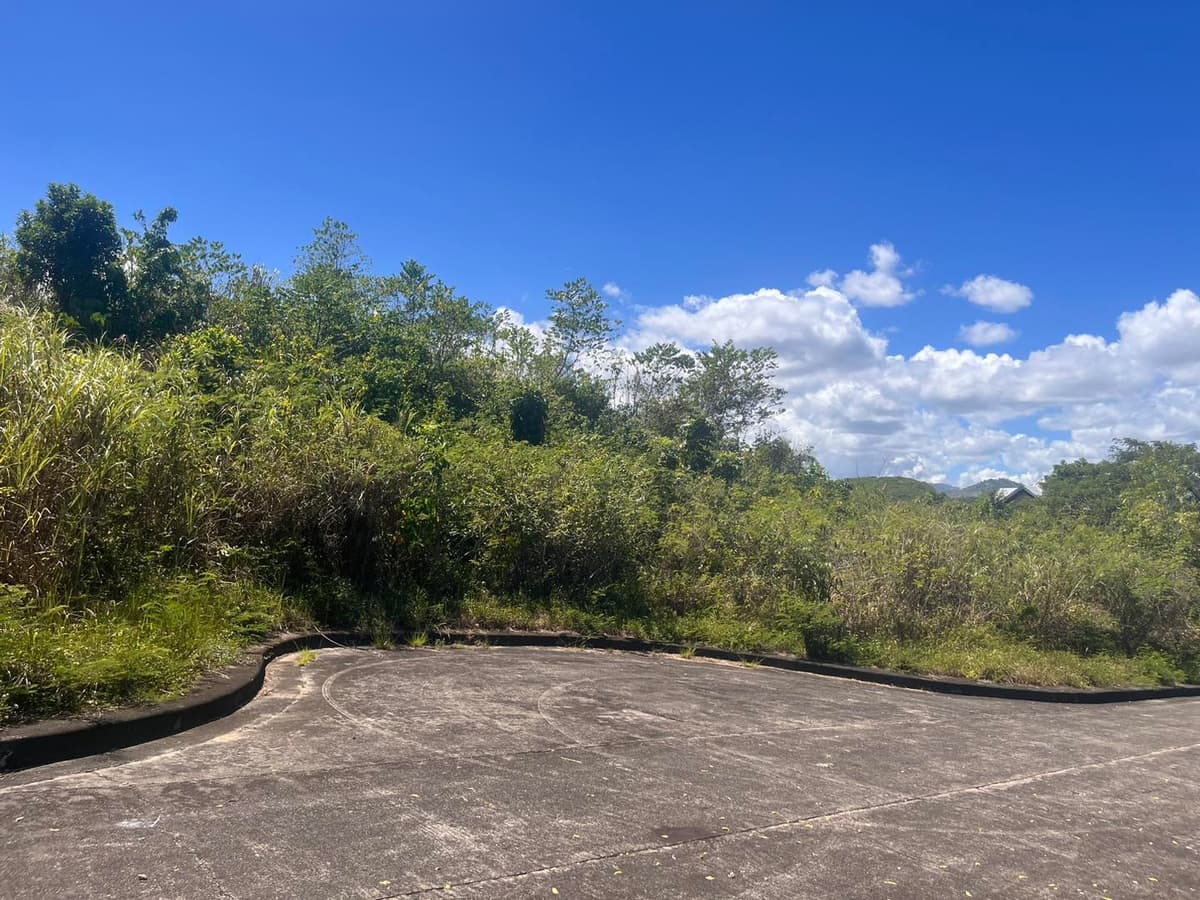 Lot for Sale in El Monteverde, Lamac, Consolacion Cebu - photo 4