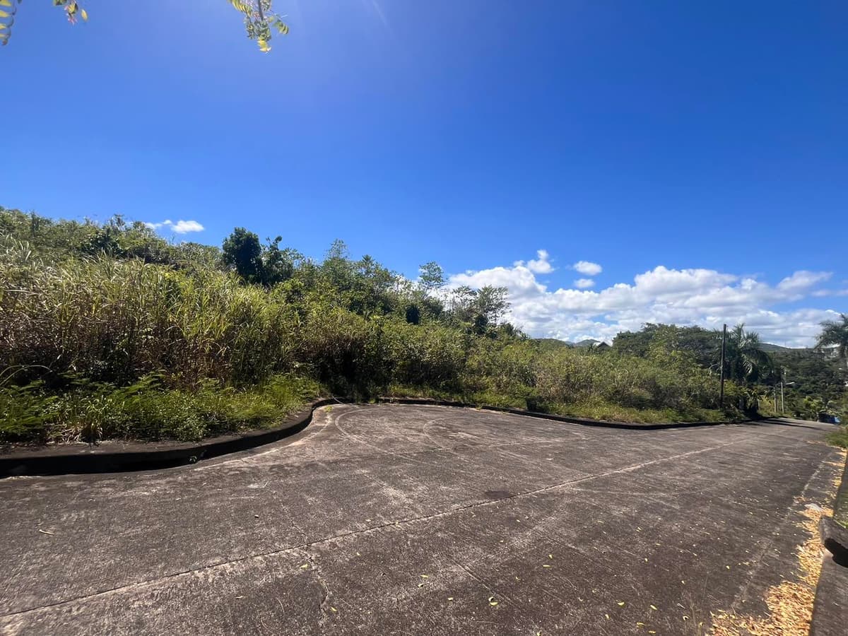 Lot for Sale in El Monteverde, Lamac, Consolacion Cebu - photo 3