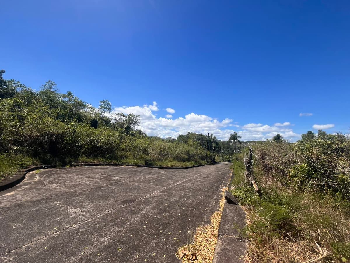 Lot for Sale in El Monteverde, Lamac, Consolacion Cebu - photo 2