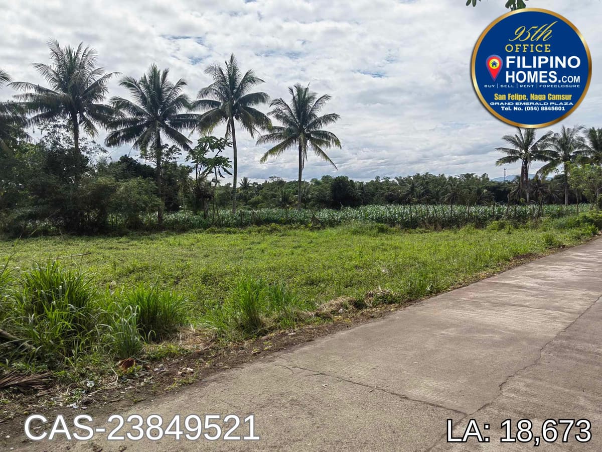 FOR SALE: SAN ISIDRO 18,673 SQM LOT - photo 4