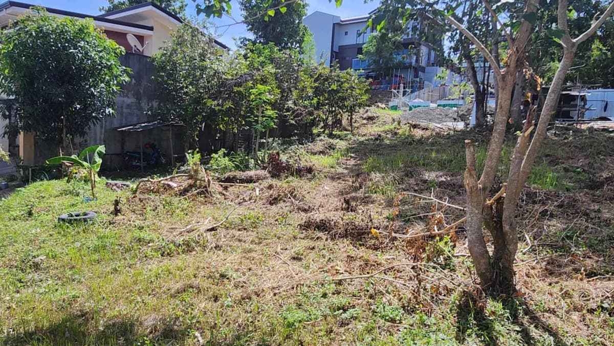 Corner lot for sale in Metropolis Subdivision Phase 2, Bacayan Cebu City - photo 7