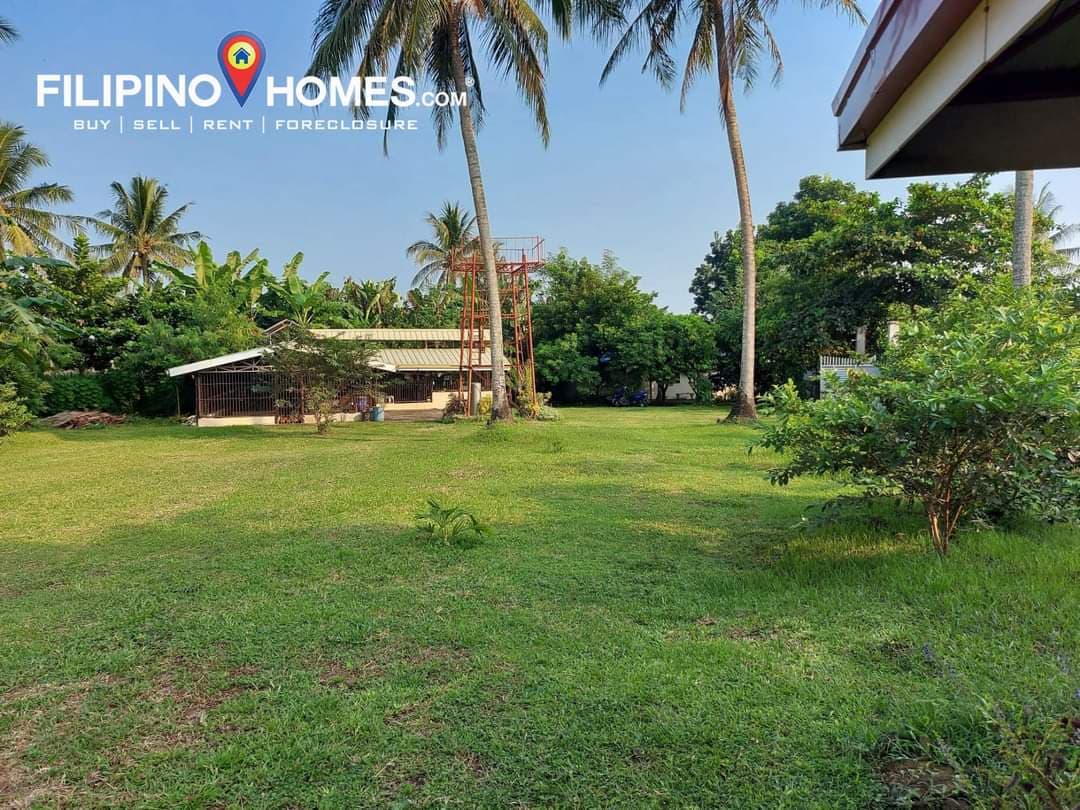 Farm Lot for Sale - photo 1