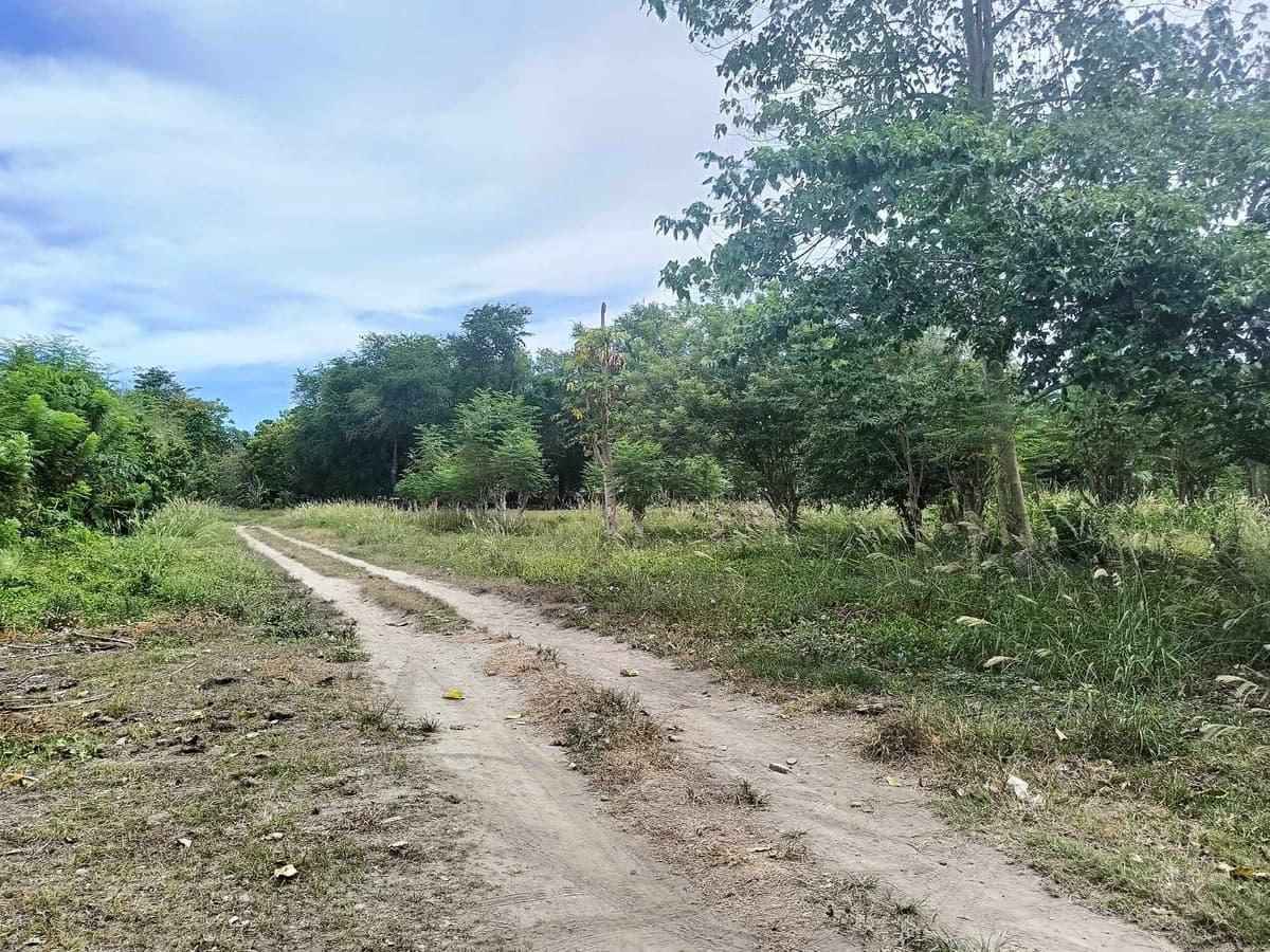 500SQM LOT PROPERTY FOR SALE AT BRGY. SAN ISIDRO - photo 7