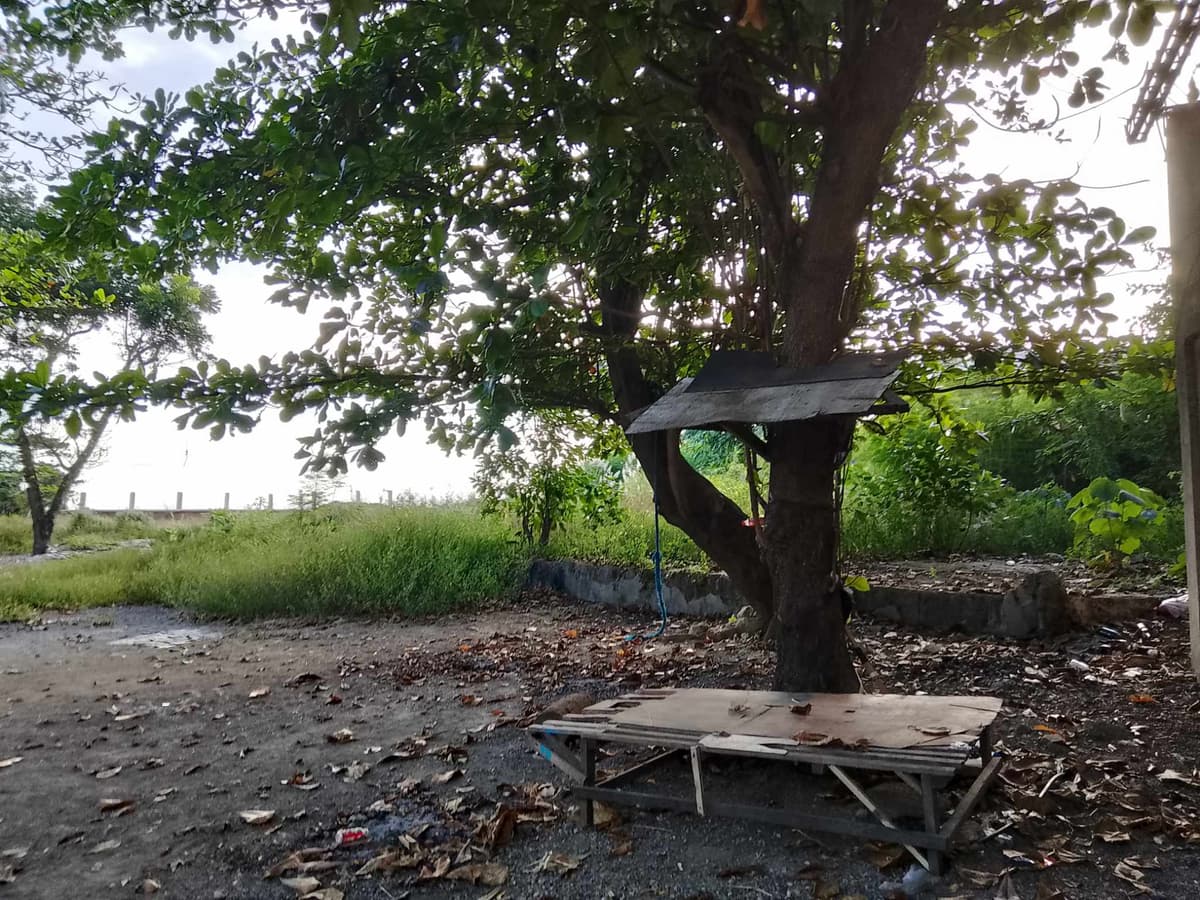 Beach Lot in Talisay, Cebu - photo 3