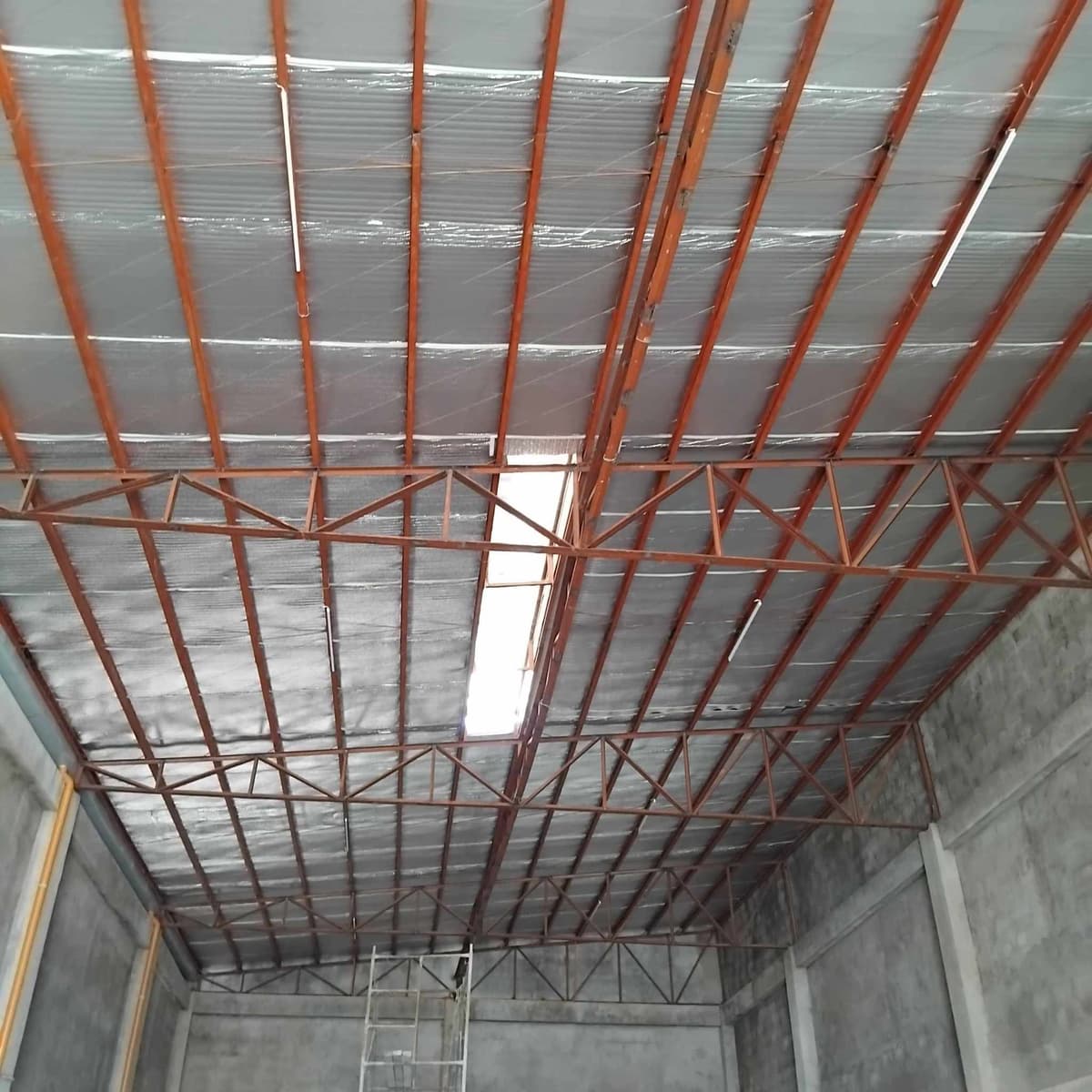 Warehouse for Rent in Mandaue - photo 3