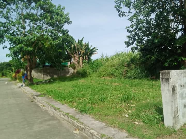 Two Lots Available - Villa Christina Subdivision, Victorias City - photo 1