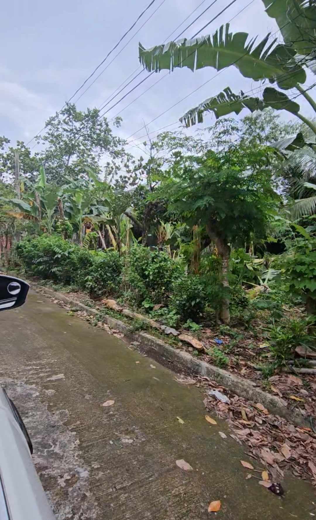 RARE FIND RESIDENTIAL LOT IN CARMELA EXECUTIVE TALISAY CITY  - photo 5