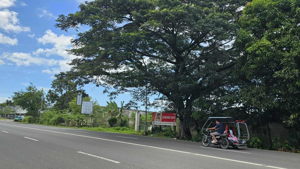 A GOOD DEAL LOT BESIDE CASA RUFINA SOUTH IS FOR SALE!!! - photo 4