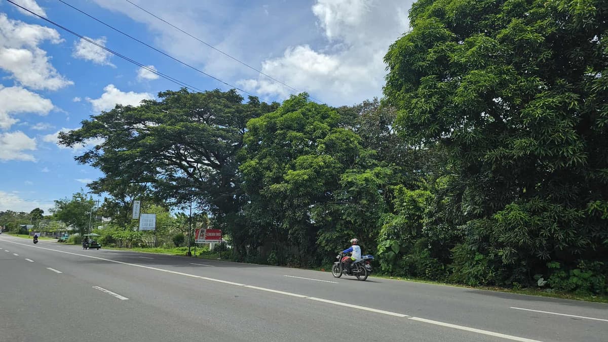 A GOOD DEAL LOT BESIDE CASA RUFINA SOUTH IS FOR SALE!!! - photo 3