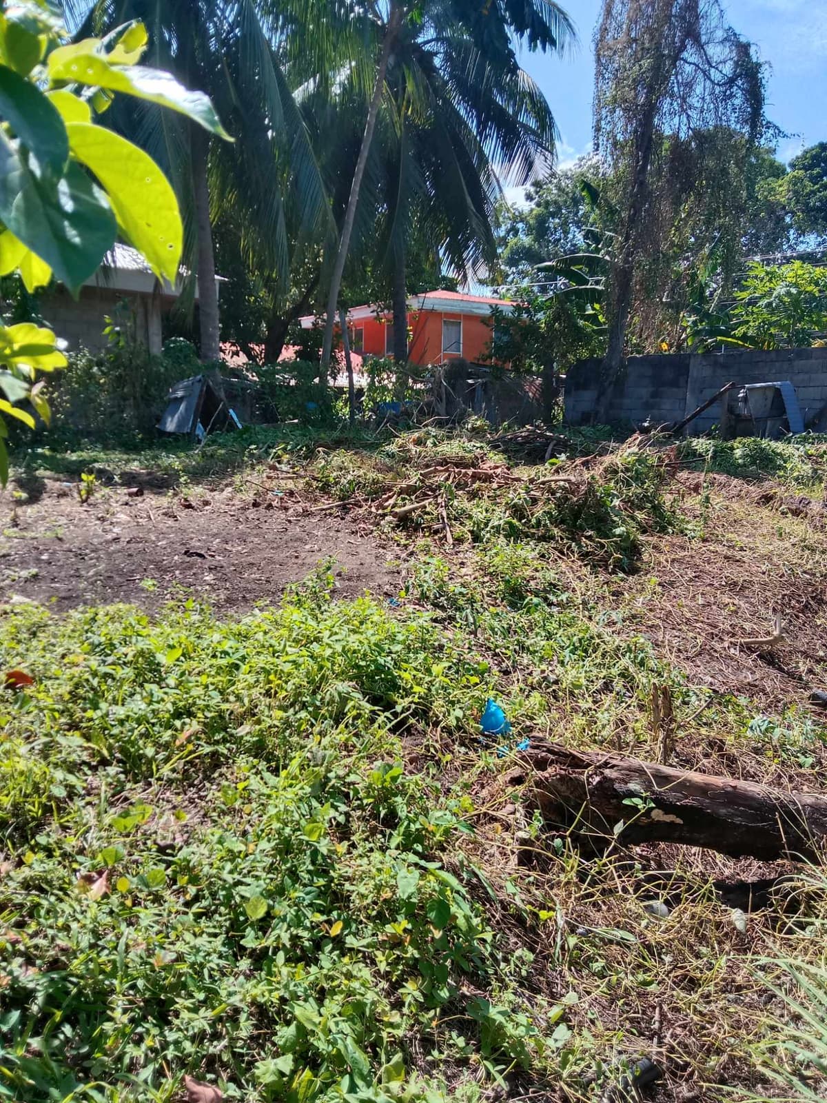 Residential Lot - photo 2