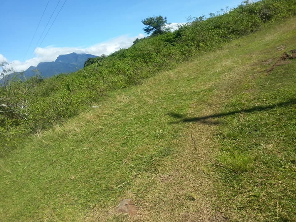 Lot For Sale - photo 5