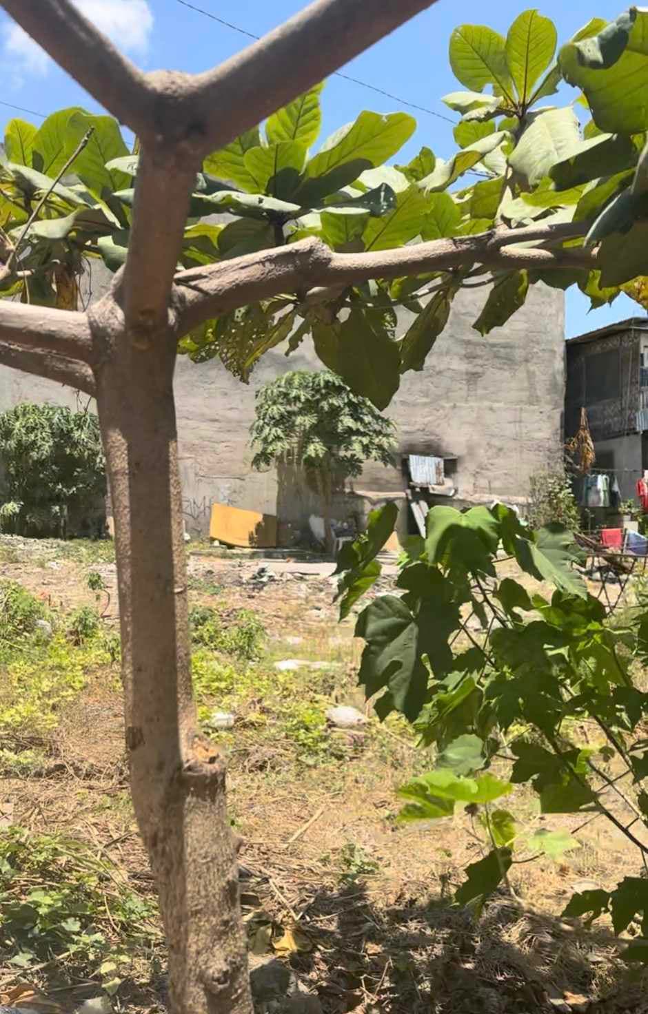 Paknaan Mandaue City - photo 1