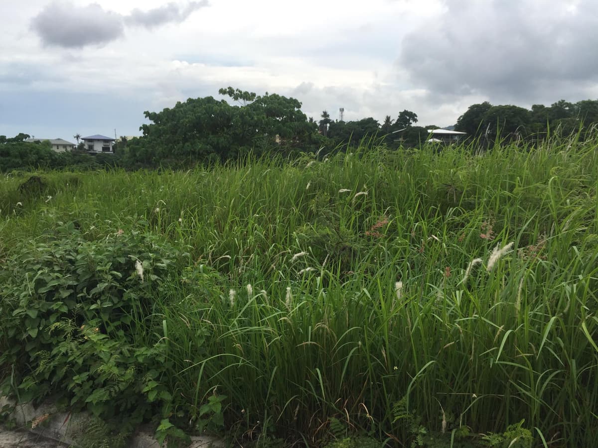 Monterrazas De Cebu Lot For Sale - photo 2