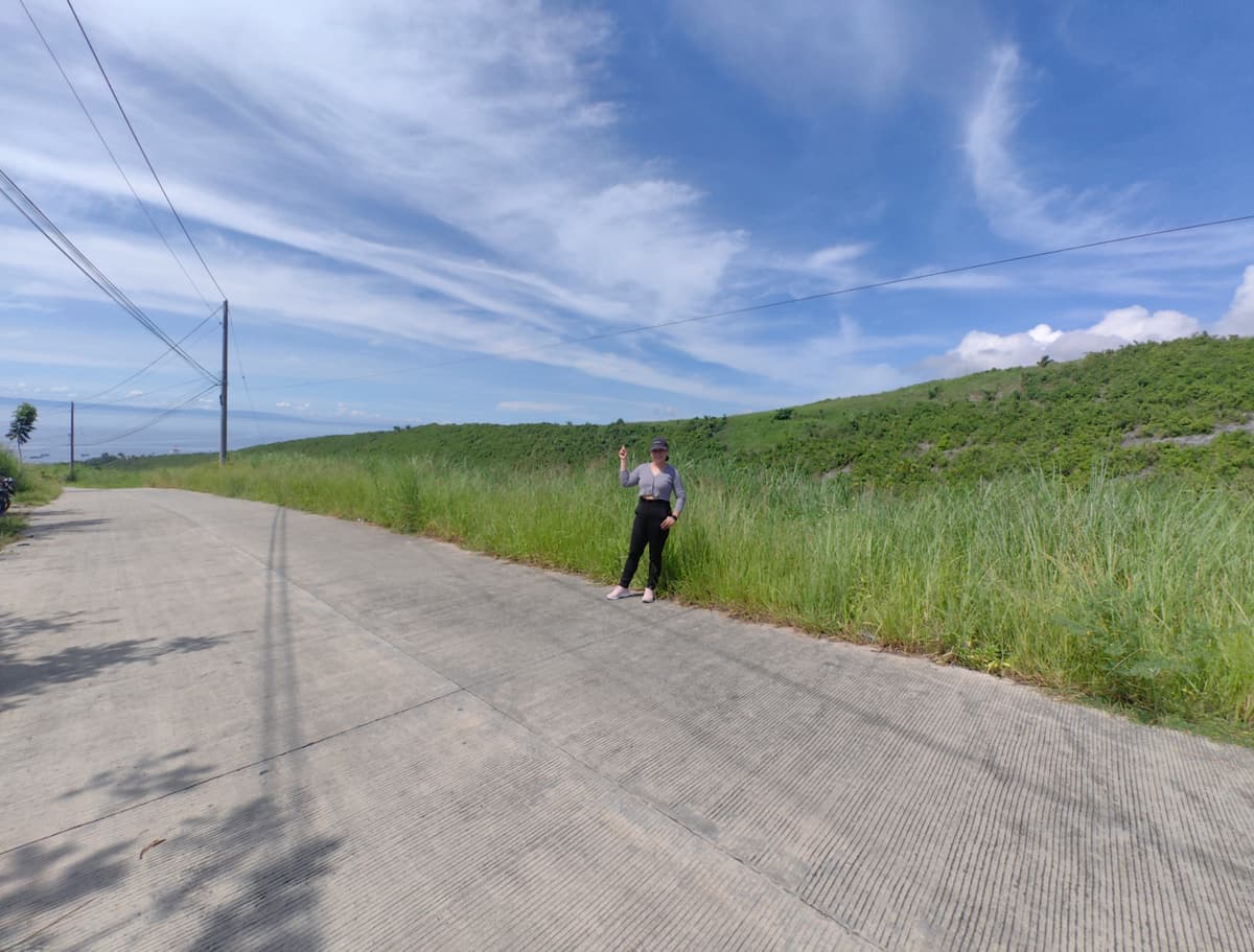 Agri LOT FOR SALE 11,640 IN SAN FERNANDO, CEBU - photo 4