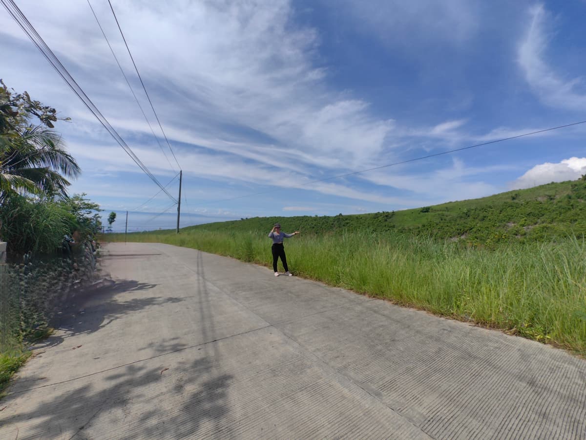 Agri LOT FOR SALE 11,640 IN SAN FERNANDO, CEBU - photo 1