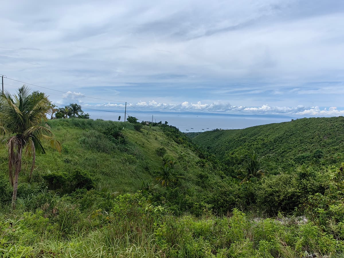 Agri LOT FOR SALE 11,640 IN SAN FERNANDO, CEBU - photo 2